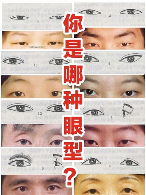 圓眼睛 面相|面相好不好？一半看眼睛！最全眼型圖解